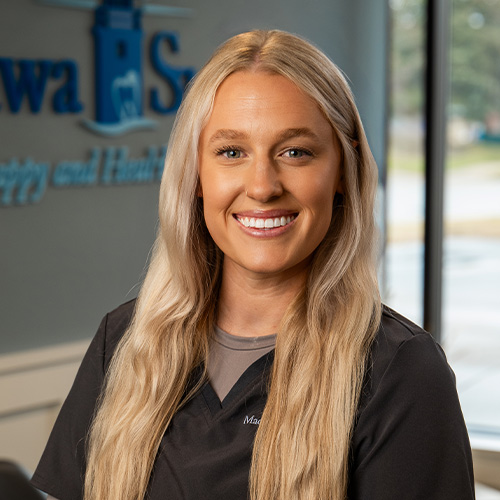Dentist Holland Michigan